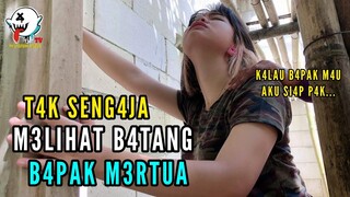 PENIPU MERTZUA