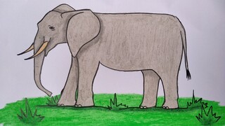 Menggambar gajah || Cara menggambar dan mewarnai binatang yang mudah