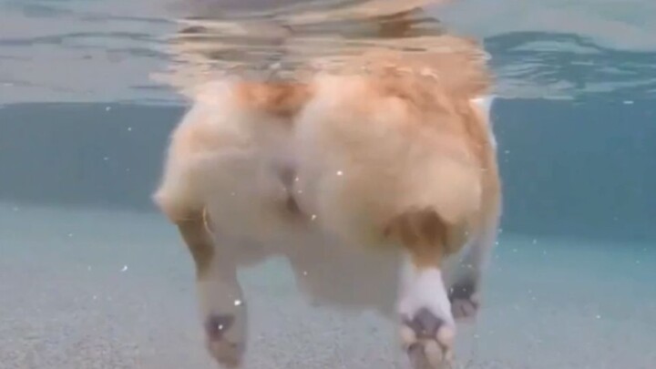 It is recommended to change it to: fat but not drowning