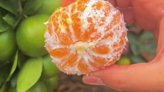 fresh food
