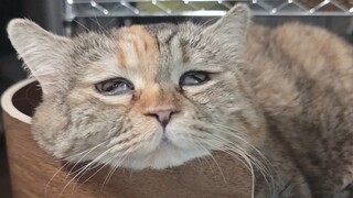 แม่บอกว่าในฝันมีทุกอย่าง