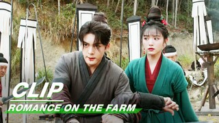 Shen Nuo Sticks to His Promise to Protect Lian Maner | Romance on the Farm EP03 | 田耕纪 | iQIYI
