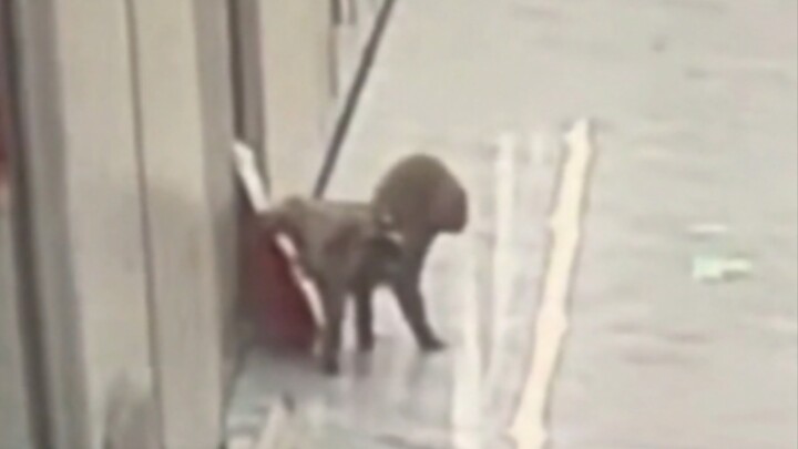 "Ngao khó" ❶❹❼