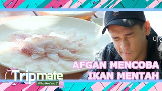 Afgan Mencoba Ikan Mentah |Tripmate|SUB INDO/ENG|221203 Siaran KBS WORLD TV|