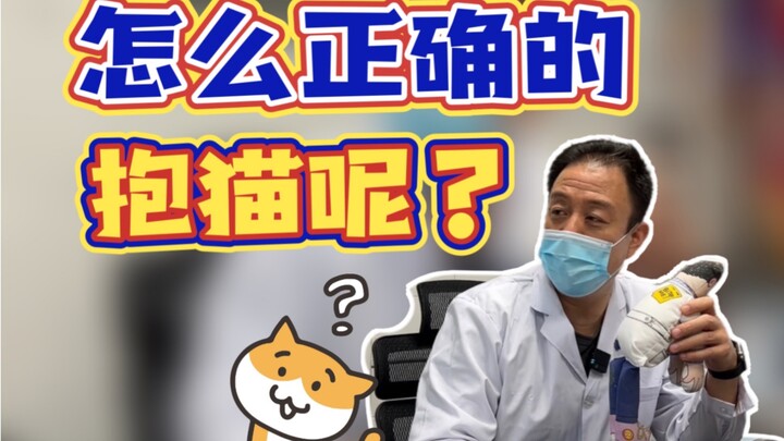 จะอุ้มแมวให้ถูกต้องควรทำอย่างไร? ท่าอุ้มแมวแบบไหนที่แมวเกลียดที่สุด? แล้วคุณเคยทำผิดแบบนี้หรือเปล่า?