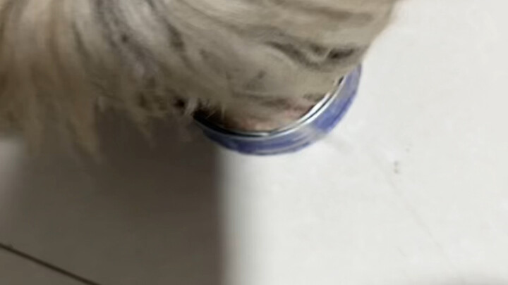 You look so sleepy today!