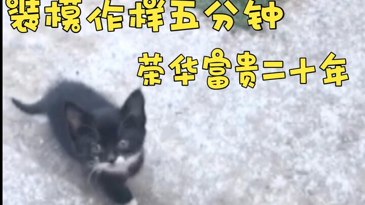 يبدو أنني وقعت في الفخ