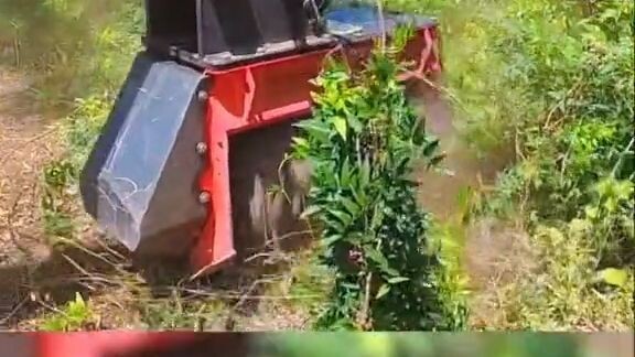 Little Munchie Sweeps Away the Hiding Spots of Angry Wasps and Alligators