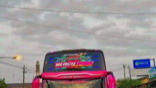 sinematick lagu gam gam gam piara.