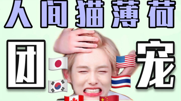 สมาชิกจีนผู้ได้รับการเอาใจจากสมาชิกชาติต่างๆ ที่ถูก “ตามใจ” มากที่สุดในวงบอยแบนด์ปัจจุบัน (ตอนกลาง-ล