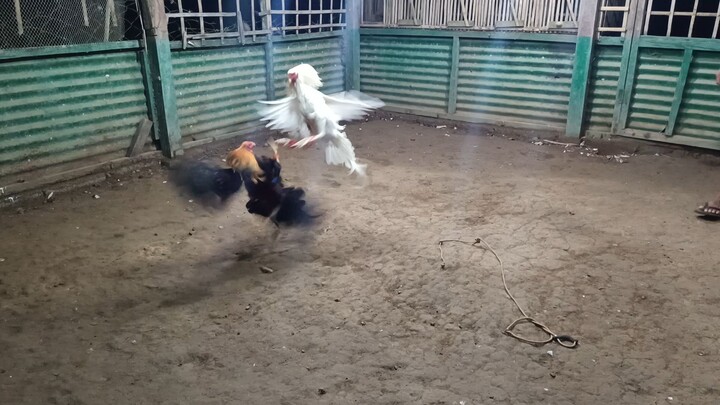 September 10, 2025 sparring exercise