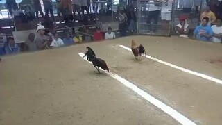 hindi nakapasa si Gilmore ganda na sana ng unang palo hindi lang tumama