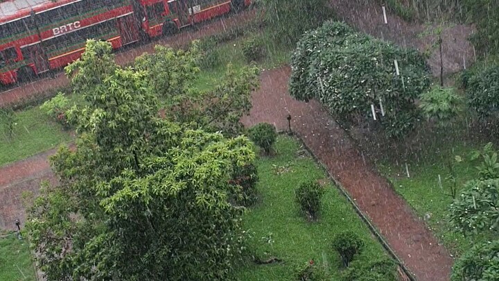 Rain From Office