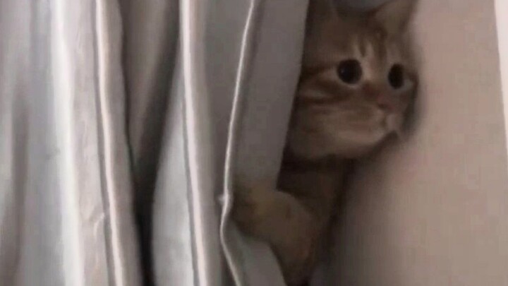 Is your husband gone yet?