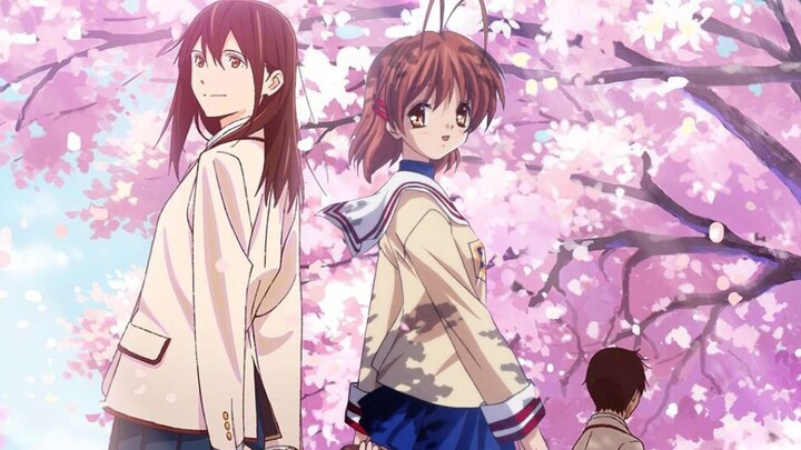 [Lễ hội Sakura] Những cuộc gặp gỡ lãng mạn và cảm động dưới tán hoa anh đào