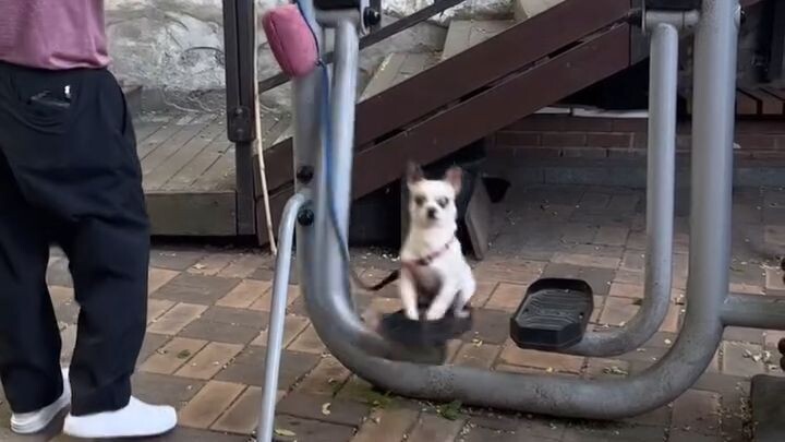 Funny Video 1