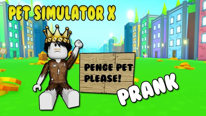 Pet Simulator X - Pretending to be Poor, PRANK || Roblox