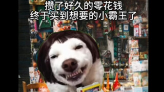 小时候自以为瞒天过海的事情