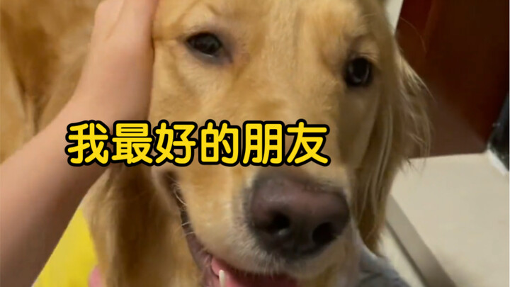 The puppy only knows that you wake it up and it will get up to accompany you.