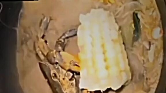 so funny 😂😂💯