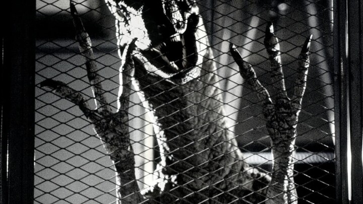 “Mereka… bisa membuka pintu?!”