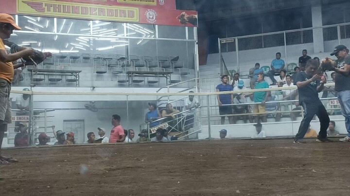 sabong sa negross
