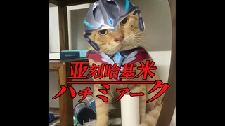 亚刻哈基米（ハチミアーク）