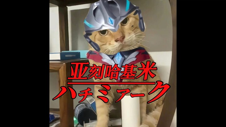 亚刻哈基米（ハチミアーク）