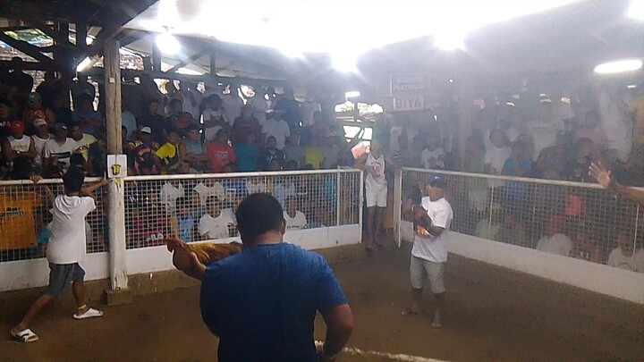 Last fight champion using our DOM 🔥