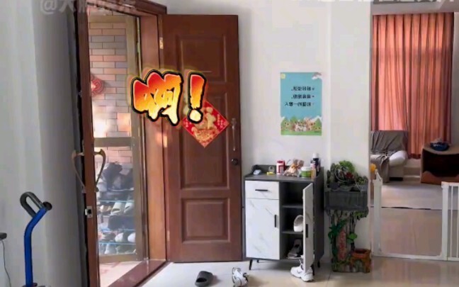 วิดีโอนี้ขำตายเลย ไม่ดูหน่อยเหรอ?