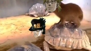 [โจโจ้ ล่ามนัส] ชีวิตประจำวันของ JOJO!