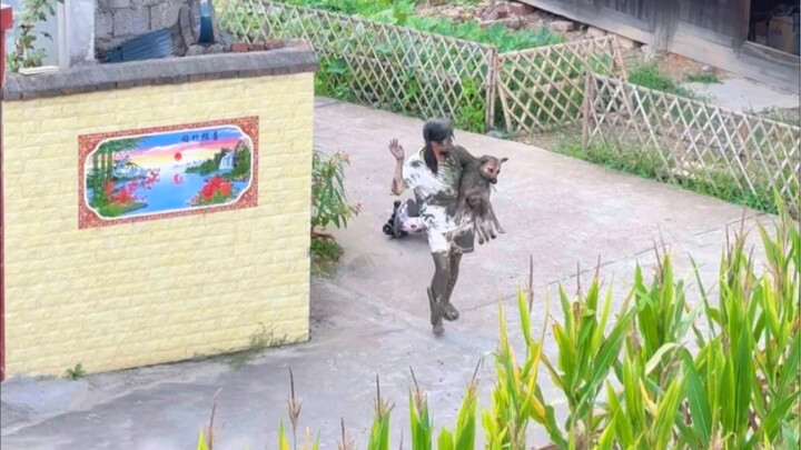 How to cook dog meat deliciously