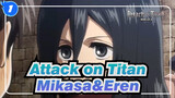 [Attack on Titan] Kompilasi Mikasa&Eren Cut_B1