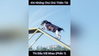 Tên phim: Biệt đội nữ chiến lang xuhuongtiktok phimhay chó_cưng phim bietdoinuchienlang phim phimtet2022 phimhaymoingay