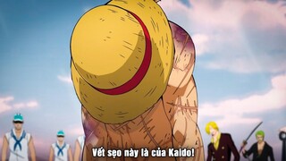 Phản ứng của thế giới khi thấy TẤT CẢ VẾT SẸO của Tứ Hoàng Luffy - One Piece