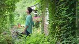 Forest Episode 21 (Eng Sub)