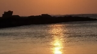 Black Box Diaries (2024)