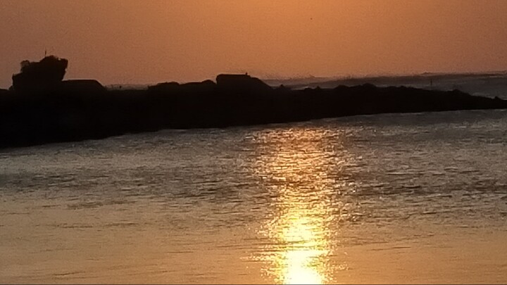 Black Box Diaries (2024)