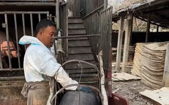 Putri, silakan naik ke mobil