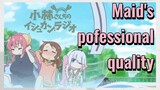 Maid's pofessional quality