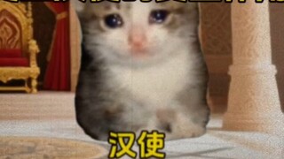 The true role of Han envoys in history #catmeme #funny #abstract #neverexpected #catmeme theater