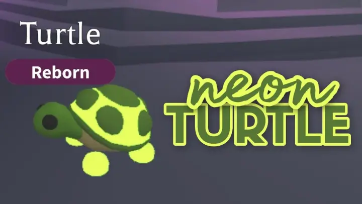 Promoting Small Youtuber Channel Bilibili