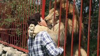 Most Emotional Animals Reunions with Their Owners After Years That Will Melt Your Heart ❤