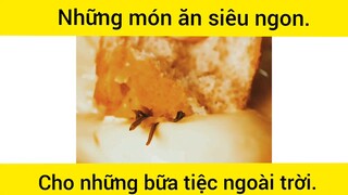 Nhũng món ăn siêu ngon, cho bữa tiệc ngoài trời