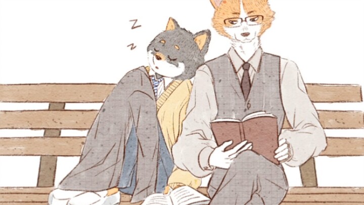 【福瑞漫画】不良黑柴男高x温柔柯基老师
