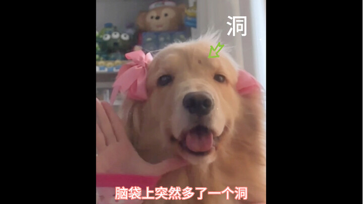 You guys aren’t gonna stop liking me, are you?🥺