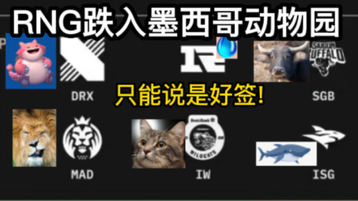 S12 EDG and RNG in the "group of death"? Nonsense! What're you so scared about? This S12 bracket dra