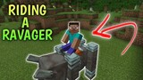 How To Ride A Ravager In Minecraft PE