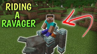 How To Ride A Ravager In Minecraft PE