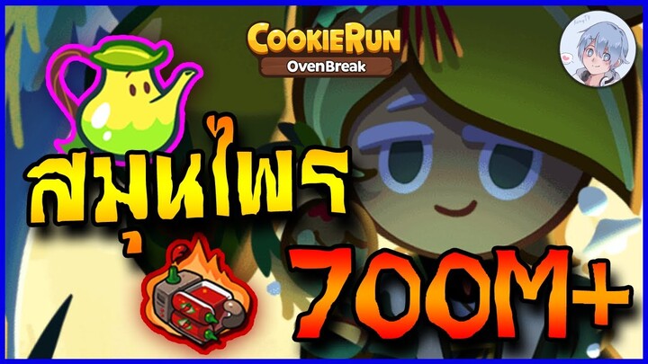 พลังแห่งสมุนไพร ถึงจะเก่า แต่แต้มก็ 700M UP ได้นะ !! | Cookierun Ovenbreak